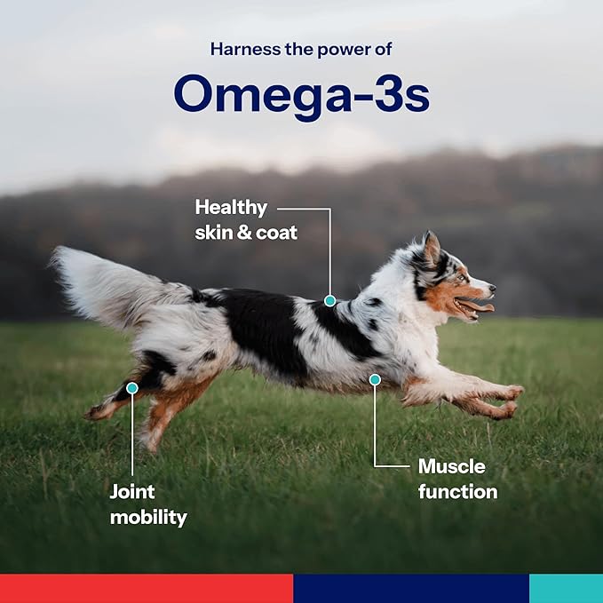 Covetrus Omega-3 Soft Gels for Medium Dogs – Essential Fatty Acids with Vitamins A, E & D3 – Skin, Coat & Joint Supplement – 60 Count