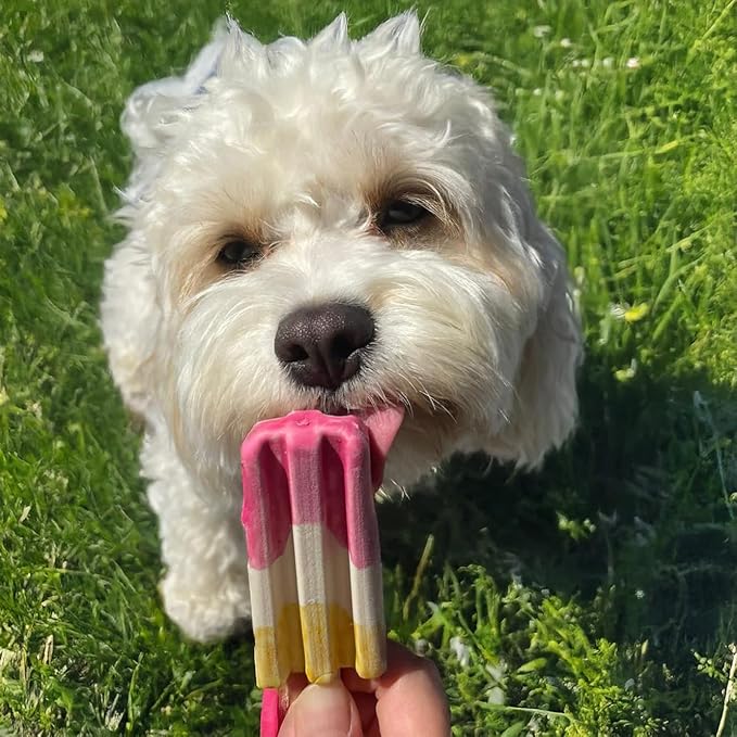 SPOT Pup Ice- Ready to Freeze at Home Dog Treats-Edible Chews for Medium Breed Dogs & Puppies with Real Chicken to Keep Your Pup Cool Year Round, Rocket Lollies Strawberry and Banana Flavor, 2pcs