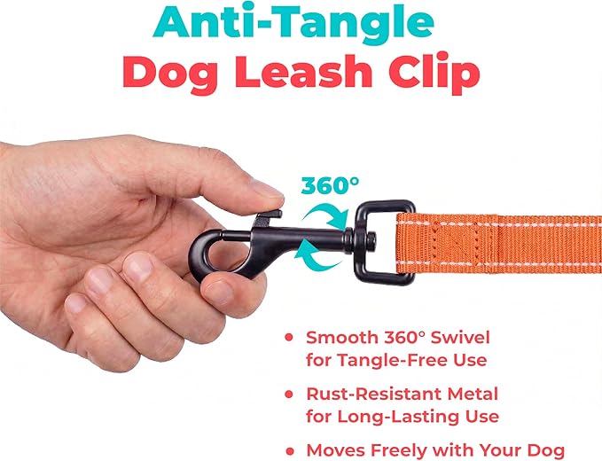 Best Pet Supplies Voyager Reflective Dog Leash or Collar with Neoprene Handle, for Small, Medium, and Large Breed Puppies, Cute and Heavy Duty for Walking, Running and Training - Orange (Leash), S