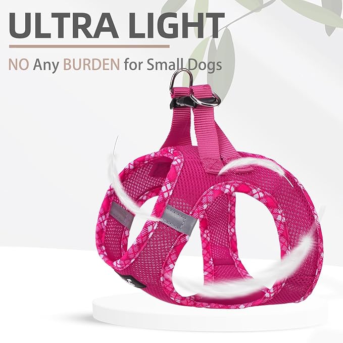 PUPTECK Dog Harness and Leash Set for Small Medium Dogs No Pull Step-in Soft Mesh Puppy Cat Vest Harnesses Reflective at Night, Fuchsia, XS