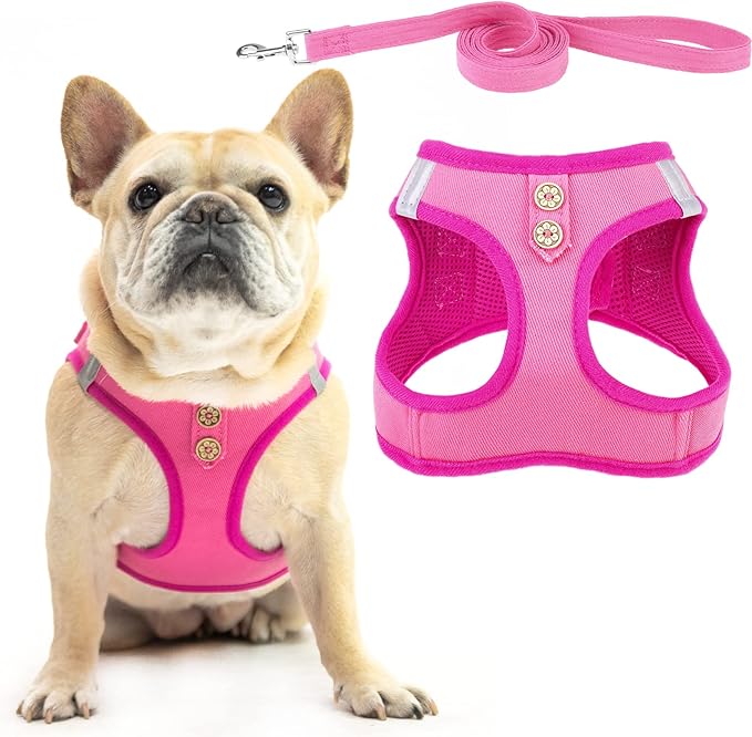 PUPTECK Dog Harness and Leash Set for Small Medium Dogs No Pull Step-in Soft Mesh Puppy Cat Vest Harnesses Reflective at Night, Denim Pink XS