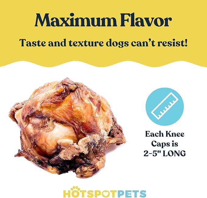 hotspot pets All Natural Beef Knee Caps for Dogs, Dog Bones, Single Ingredient Dog Chews for Aggressive Chewers - Long Lasting Rawhide Alternative Meat Bones