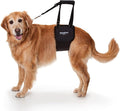 GINGERLEAD Dog Sling Support Harness, LG Female fits Big Dogs Over 65 lbs. Padded Rear Lift with Integrated Leash to Assist Senior K9s, or Recovery from Knee/TPLO, Hip or Back Surgery. Made in U.S.A.