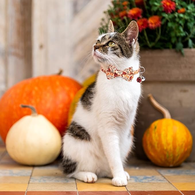 EXPAWLORER Fall Cat Collar Breakaway with Removable Bowtie and Bandana, Adjustable Holiday Cute Kitten Thanksgiving Collar with Bell, Ideal Festival Decoration Gift for Girl Boy Cats Puppies, 2 Pack