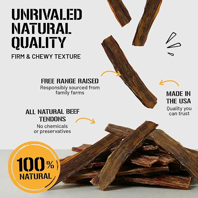 Dog Chits Beef Esophagus Chews for Dogs & Puppies - All Natural Single Ingredient - High Protein, Low Fat Beef Jerky Chew - Safe for All Breeds - Great for Joint - Dental Clean Crunch - 6 inch, 10 oz