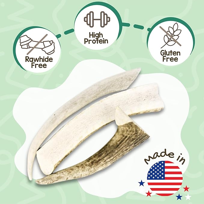 Nature Gnaws USA Deer Antlers for Dogs 4-7" (3 Count) - Mix of Split and Whole Pieces - Long Lasting for Small and Medium Breeds - Natural Dog Chew Bones