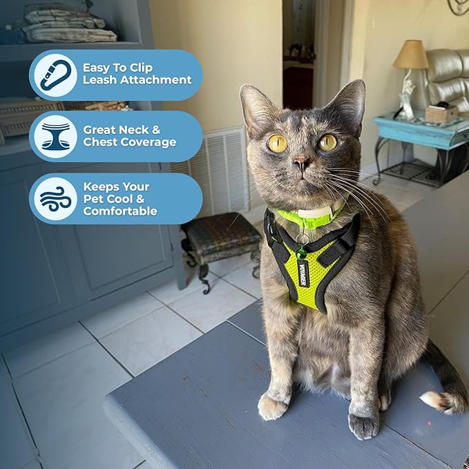 Voyager Escape-Proof Step-in Lock Cat Harness & 5ft Neoprene-Handle Leash Set All-Weather Mesh with Reflective Stitching for Small to Large Cats by Best Pet Supplies, Lime Green/Black Trim, XXXS