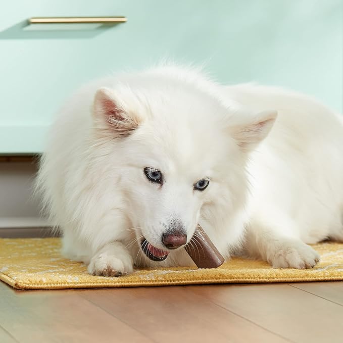 Nutrish Rachael Ray Dog Chews Soup Bones with Real Turkey & Rice, 24 Dog Treats