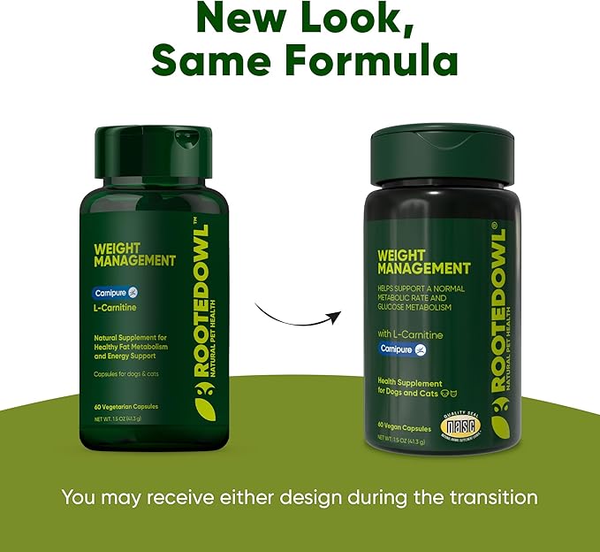 Rooted Owl Metabolism Support - L-Carnitine Supplement for Dogs and Cats to Support Healthy Weight - Dog and Cat Supplement - 60/ct