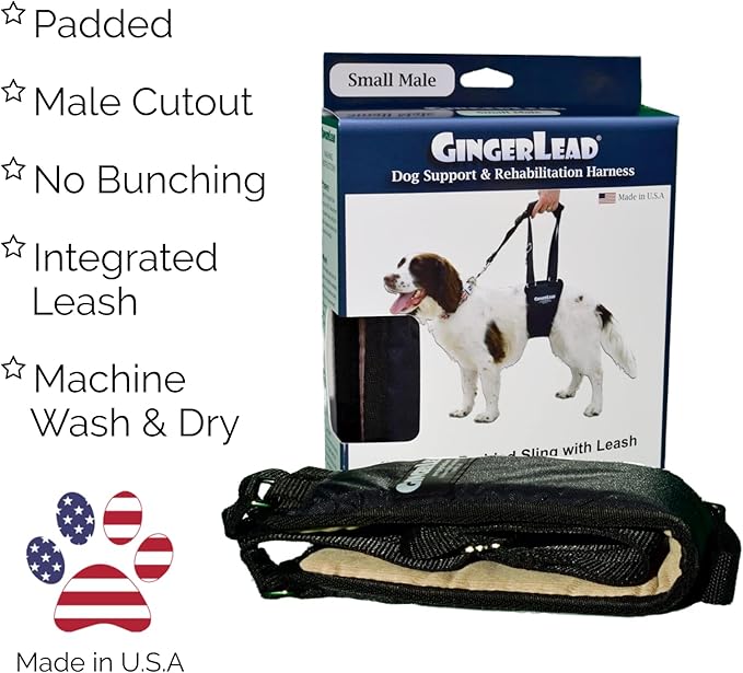 GINGERLEAD Dog Sling Hip Support Harness, SM Male fits Small to Medium Size Pets or Larger Barrel Chested Dogs Like Boxers or Bullies. Male Dachshunds use X-Small Size. Made in U.S.A.