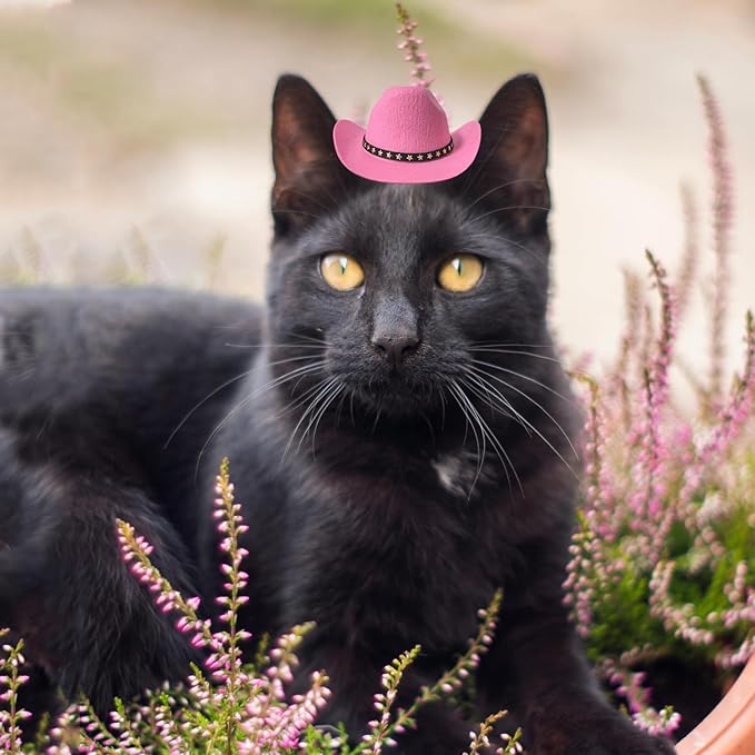 Dog Cowboy Hat Cat Cowboy Hat Mini Cowboy Hat for Dogs Cat Pet Cowboy Costume with Bandana Scarf Holiday Halloween Pet Party Decoration (Pink, Small)