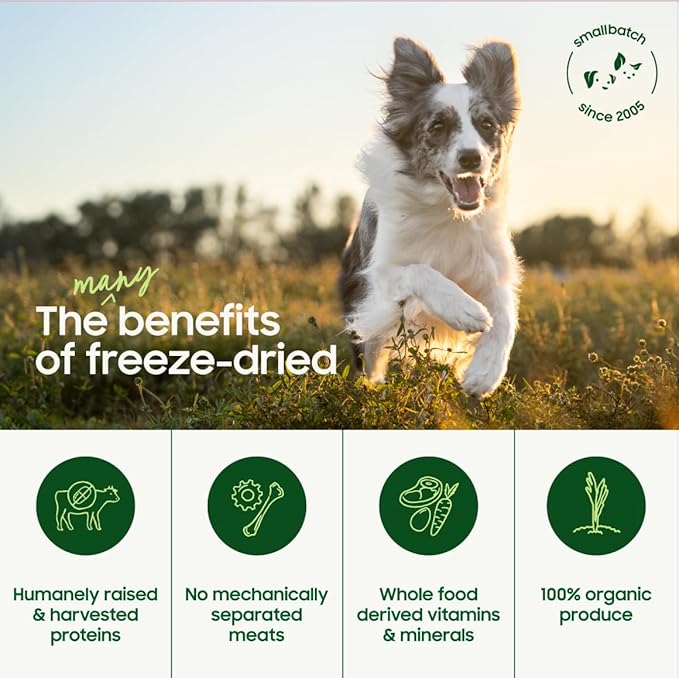 smallbatch Pets Freeze Dried Raw Dog Food, Duck Recipe, 14 oz, Organic High Protein Dog Food, Grain Free, Made in The USA, Humanely Raised Meat, Single Protein, for Picky Eaters, Hydrate & Serve