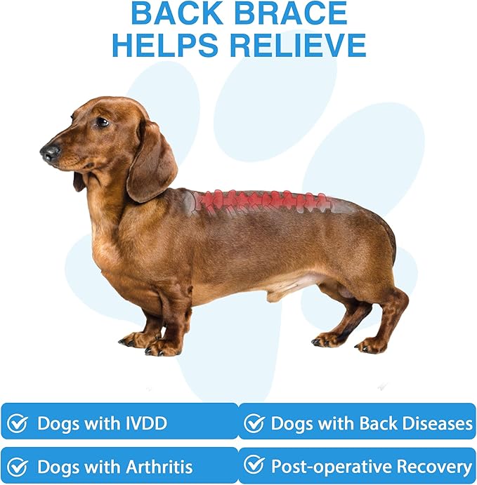 Dog Back Brace for IVDD, Soft Breathable Pet Back Support for Shih Tzu & Dachshund, Surgical Recovery & Pain Relief Harness (Small)