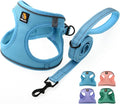 BELLA & PAL Step in Vest Harness for Small and Medium Dogs, No Pull Small Dog Harness with Leash Set, Comfortable Air Mesh Dog Vest Harness with Reflective Strip (Sky Blue, M)