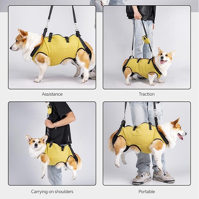 Full Body Dog Lift Harness with Ergonomic Designs for Elderly Dog with Shock Absorption and Adjustable Strap