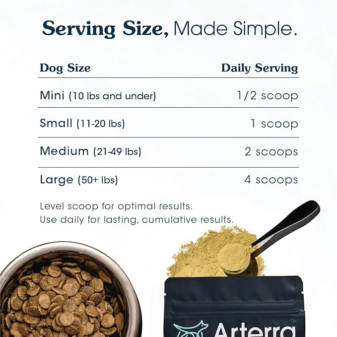 Senior Dog Powder Supplement & Food Topper – 63 Ingredients for Joint, Gut, Immune & Brain Health – Daily Longevity Multivitamin with Glucosamine, Probiotics, and Fish Oil | 60 Scoops