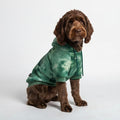 Spark Paws Dog Hoodie – Premium Dog Sweater for Small, Medium, and Large Dogs | Warm Outfits for French Bulldogs, Pitbull, Puppy, Winter Jacket Alternative - Green Skydye, 2XL