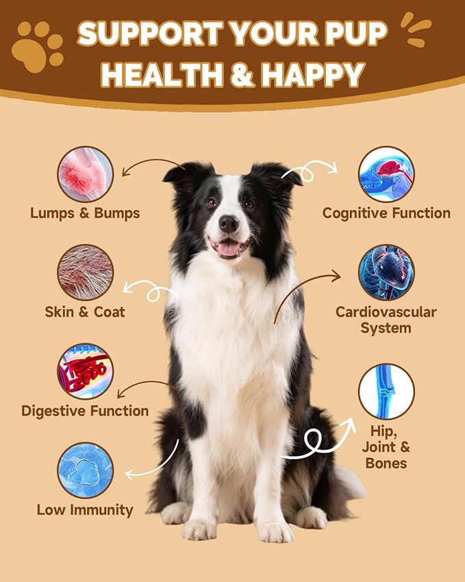 Mushrooms for Dogs - Turkey Tail Mushroom for Dogs - Gut, Skin, Joint, Immune Health- Dog Lumps & Bumps - 13 Organic Mushrooms Turkey Tail, Reishi, Lions Mane, Glucosamine, MSM - Chicken Flavor