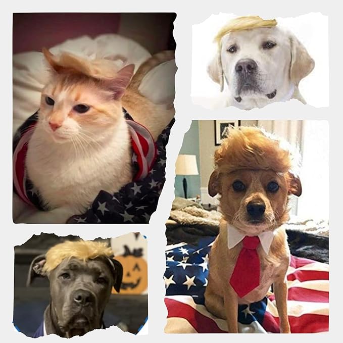 Pet Cat/Dog Blonde Wig with Tie - Iconic and Playful Toupee Hat, Cosplay Dress Up Clothing Costume Halloween Accessories (BlueTie, S)
