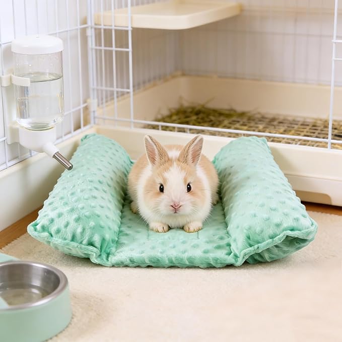 Rabbit Bed, Soft Dot Fleece Bunny Mat, 17x17In Small Animal Pillow for Guinea Pig, Reversible, Washable Pet Cushion Mint Green