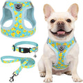 SCENEREAL Small Dog Harness and Leash Collar Set, Step in Soft Light Puppy Vest, Breathable Pet Harness for Small Sized Dogs, No Chock Reflective for Safe Outdoor Walking, Yellow Duck M