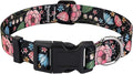 Dog Collar for Large Dogs, Soft Comfy Pet Collar for Small Medium Large Dogs, Universe Pattern for Boy Girl Puppy Dogs(Flower Vine Black,L)