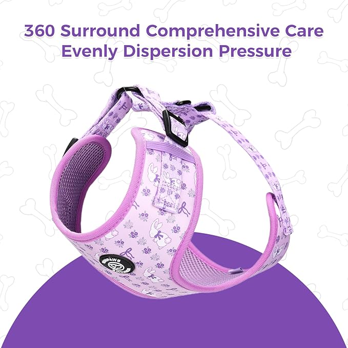 Dog Harness and Leash Collar Set with Dog Poop Bag Holder and Bandanas, Escape Proof Adjustable Puppy Cat Vest with Soft Mesh Padded, Pet Supplies for Small Medium Large Dogs Kitten(Purple, S)