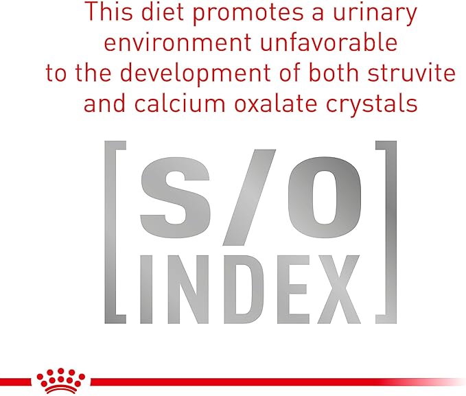 Royal Canin Veterinary Diet Canine Gastrointestinal Low Fat Adult Loaf Dog Food, 13.5 oz (Pack of 6)