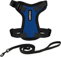 Voyager Escape-Proof Step-In Lock Cat Harness & 5ft Neoprene-Handle Leash Set All-Weather Mesh with Reflective Stitching For Small to Large Cats by Best Pet Supplies, Royal Blue/Black Trim, S