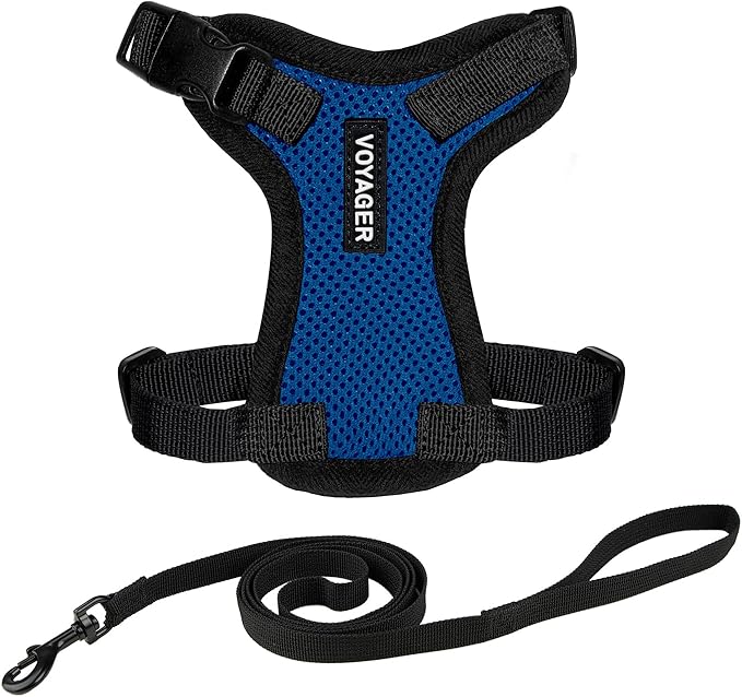 Voyager Escape-Proof Step-In Lock Cat Harness & 5ft Neoprene-Handle Leash Set All-Weather Mesh with Reflective Stitching For Small to Large Cats by Best Pet Supplies, Royal Blue/Black Trim, S