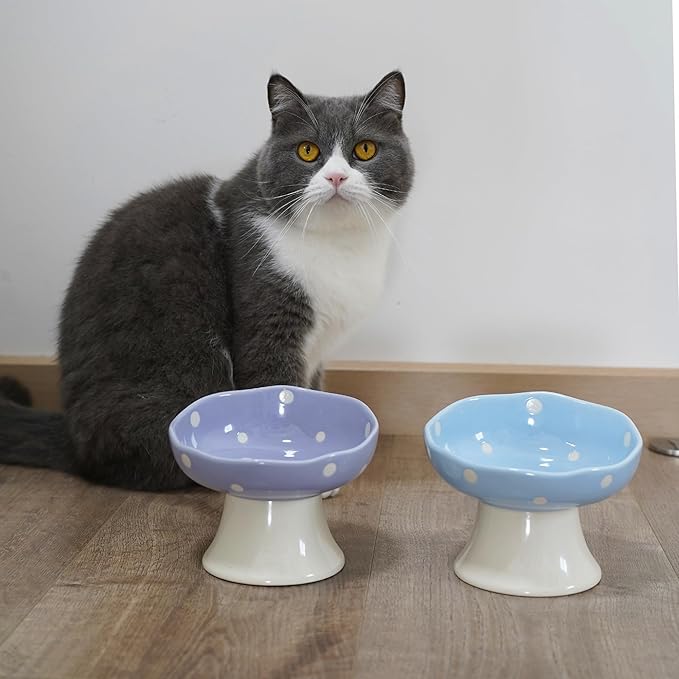 Ceramic Elevated Cat Bowls, Tilted Raised Pet Dish for Indoor Cats, Whisker Friendly Pet Food and Water Bowl for Kitten, Cat, Puppies, Dishwasher Safe (Blue)