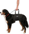 Tuff Pupper Dog Sling Hip Harness | Rear Lift Support for Senior & Injured Dogs | Adjustable Mobility Aid | Strong Padded Handle | Comfortable Design | Hip & Hind Leg Assistance (Tall, Female)