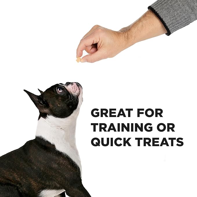 Hive Bites Training Treats for Dogs – Peanut Flavor – Small Reward Treats Made with Ground Peanuts & Honey – Vegetarian, No Grain or Soy – 12 oz