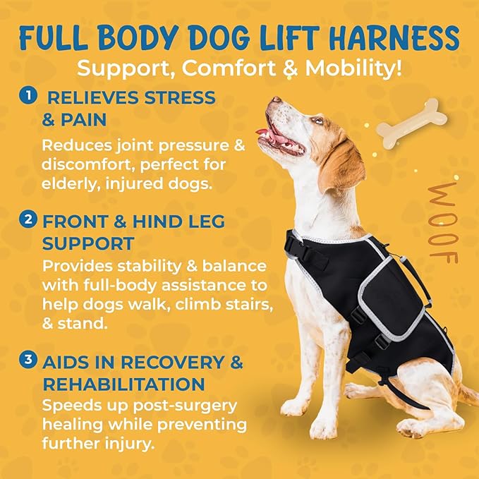 Full Body Dog Lift Harness - Help Large Dogs Up Adjustable Mobility Support Aid for Injured or Senior Dog and Dogs Hind Leg, Black XL