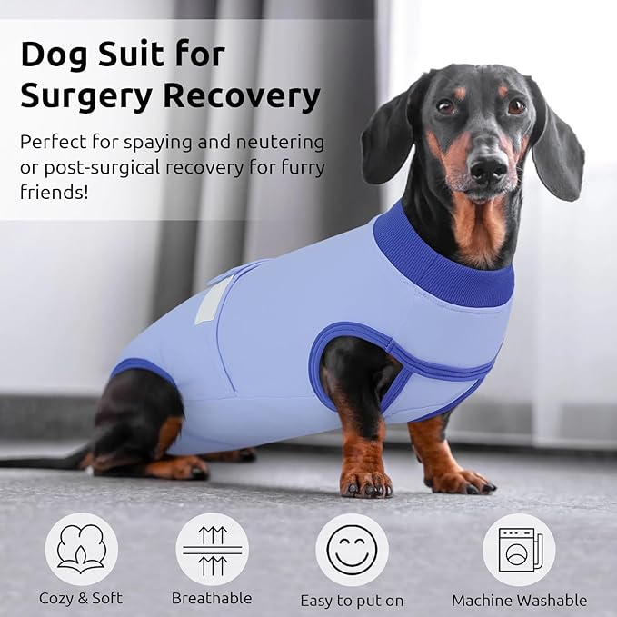 Queenmore Recovery Suit for Dogs Cats After Surgery, Dog Surgical Recovery Suit, Professional Pet Surgical Siut, Prevent Licking Dog Body Suits, Surgical Clothes for Abdominal Wounds, Sky Blue,2XL