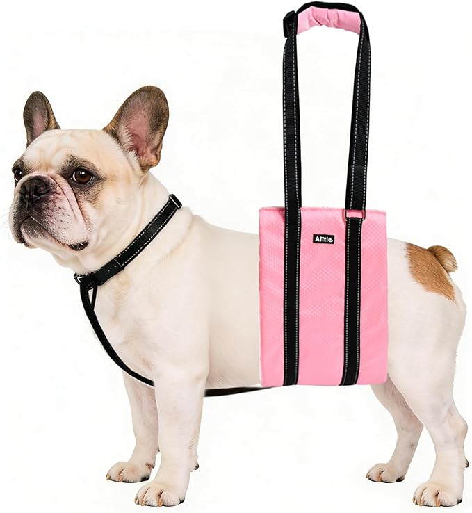 AIITLE Dog Slings for Small Dogs - Adjustable Reflective Dog Lift Harness with Anti-Slip Collar for Senior Dogs, Hind Leg Weakness, Hip Dysplasia, ACL Surgery (Pink, S)
