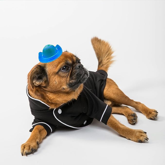 Dog and Cat Cowboy Hat With Bandana Scarf - Mini Pet Costume for Holiday, Halloween, Party Decoration (Blue-style2, Small)