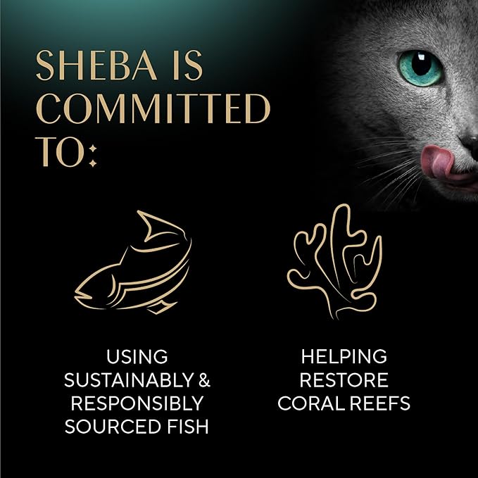 Sheba Perfect Portions Wet Cat Food Cuts in Gravy, Roasted Chicken Entree, with Sustainable Tuna, Tender Turkey Entree, 2.6 oz. Twin-Pack Trays (36 Count, 72 Servings)