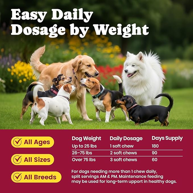 Glucosamine for Dogs - Hip and Joint Supplement Chews for Senior & Large Breed, Joint Supplement for Dogs with Chondroitin, Wuffe Joint Chews for Pain Relief - 60-Day - 180 Ct