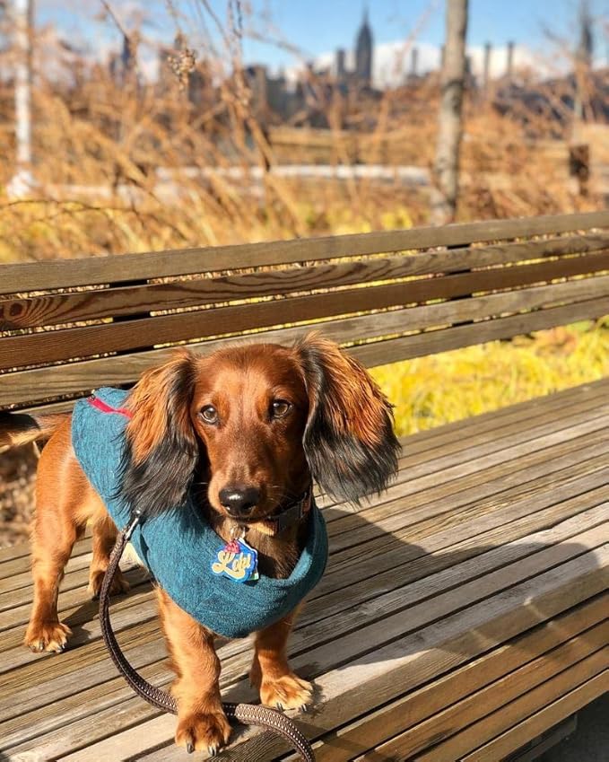 Gooby - Zip Up Fleece Vest, Fleece Jacket Sweater with Zipper Closure and Leash Ring, Turquoise Wash, Medium