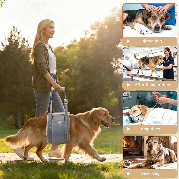 Extra Large Dog Lift Harness, Adjustable Dog Sling for Back Legs, Hip Support Harness to Help Lift Dogs Rear for Helps Senior, Injured, Disabled and After ACL Surgery Dogs - XX-Large, Grey