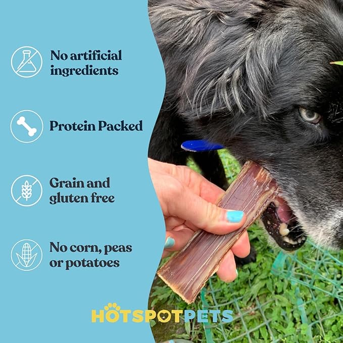 hotspot pets Beef Dog Treats Esophagus (6 Inches)(10 Pack) - 100% Natural Healthy Chews for Dogs - Meat Jerky Snack, Free of Preservatives, Hormones from Grass Fed Cattle