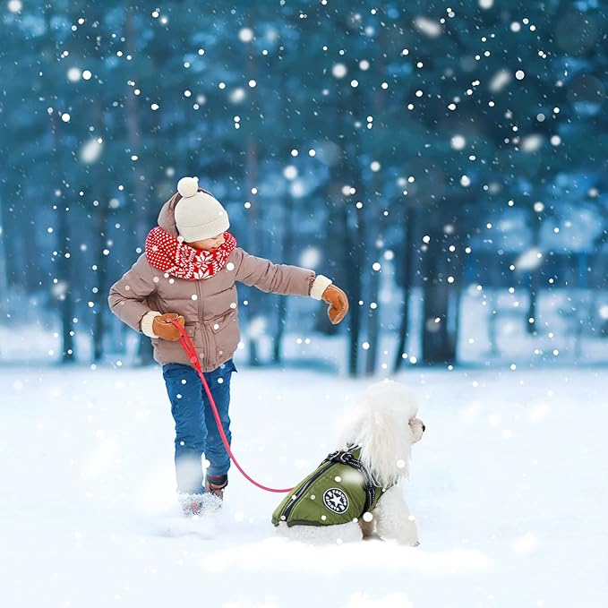Warm Dog Winter Coat, Cold Weather Jacket with Built-in Harness, Reflective & Adjustable Comfortable Pet Vest, Windproof Apparel for Small Medium Large Dogs (Green)