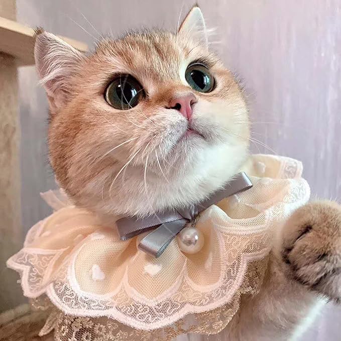 Pet Costume for Cat Dog Lace Princess Saliva Towel Bib Scarf Holiday Dress-Up Accessories for Cats Small Do