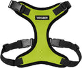 Voyager Step-in Pet Harness - All Weather Mesh, Adjustable Step in Harness for Cats and Dogs by Best Pet Supplies - Lime Green/Black Trim, XS