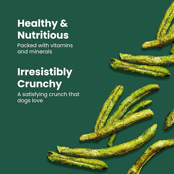 Atlantic Rush Freeze Dried Green Bean Chips for Dogs- 1oz Resealable Bag of Dried, Green Crispy Beans- Single Ingredient, No Salt or Canola Oil- Crispy, Shelf Stable - Made in USA (3, 1 oz Bag)