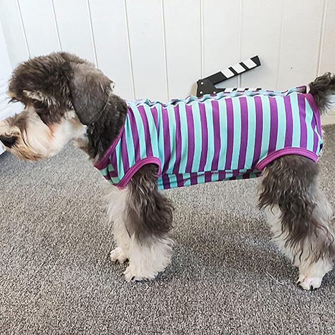 Dog’s Recovery Suit Post Surgery Shirt for Puppy, Wound Protective Clothes for Little Animals(Purple Blue Stripe-l)