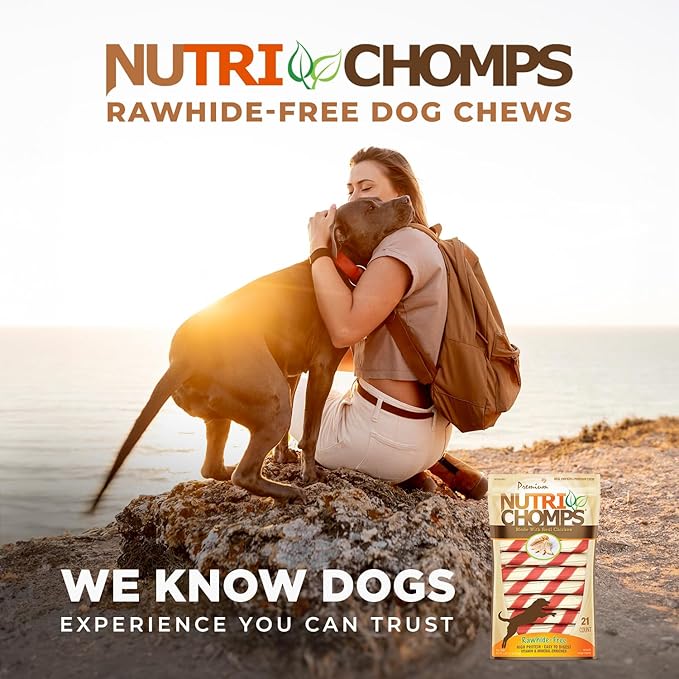NutriChomps Dog Chews, 6-inch Twists, Easy to Digest, Long Lasting, Rawhide-Free Dog Treats, 15 Count, Real Chicken flavor