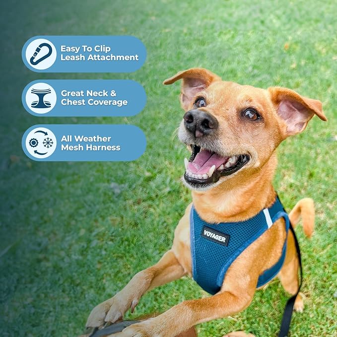 Best Pet Supplies Voyager Step-in Air All Weather Mesh Harness and Reflective Dog 5ft Leash Combo with Neoprene Handle, for Small, Medium and Large Breed Puppies - Set (Turquoise), Large