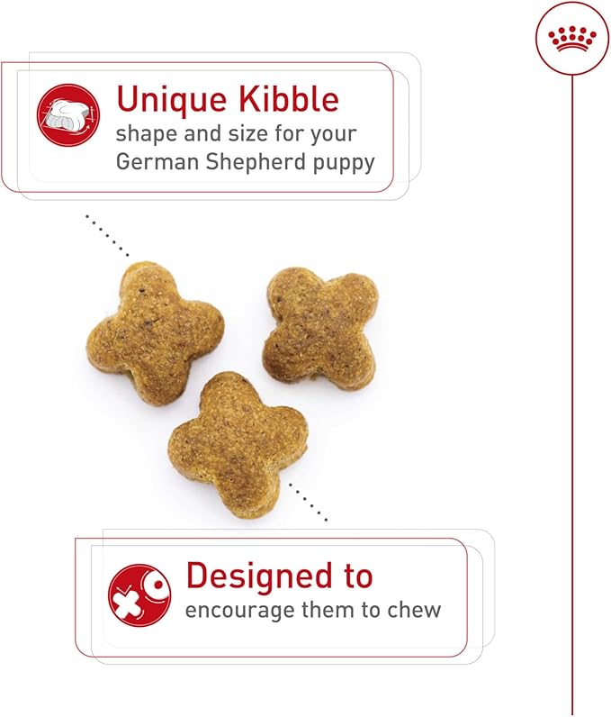 Royal Canin Breed Health Nutrition German Shepherd Puppy Dry Dog Food, 2.5 lb